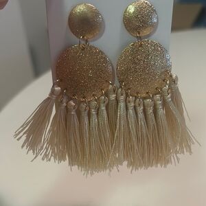 ** BRAND NEW EARRINGS **